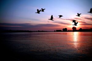 renewal through trust in divine timing